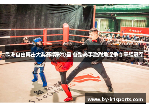 欧洲自由搏击大奖赛精彩纷呈 各路高手激烈角逐争夺荣耀冠军